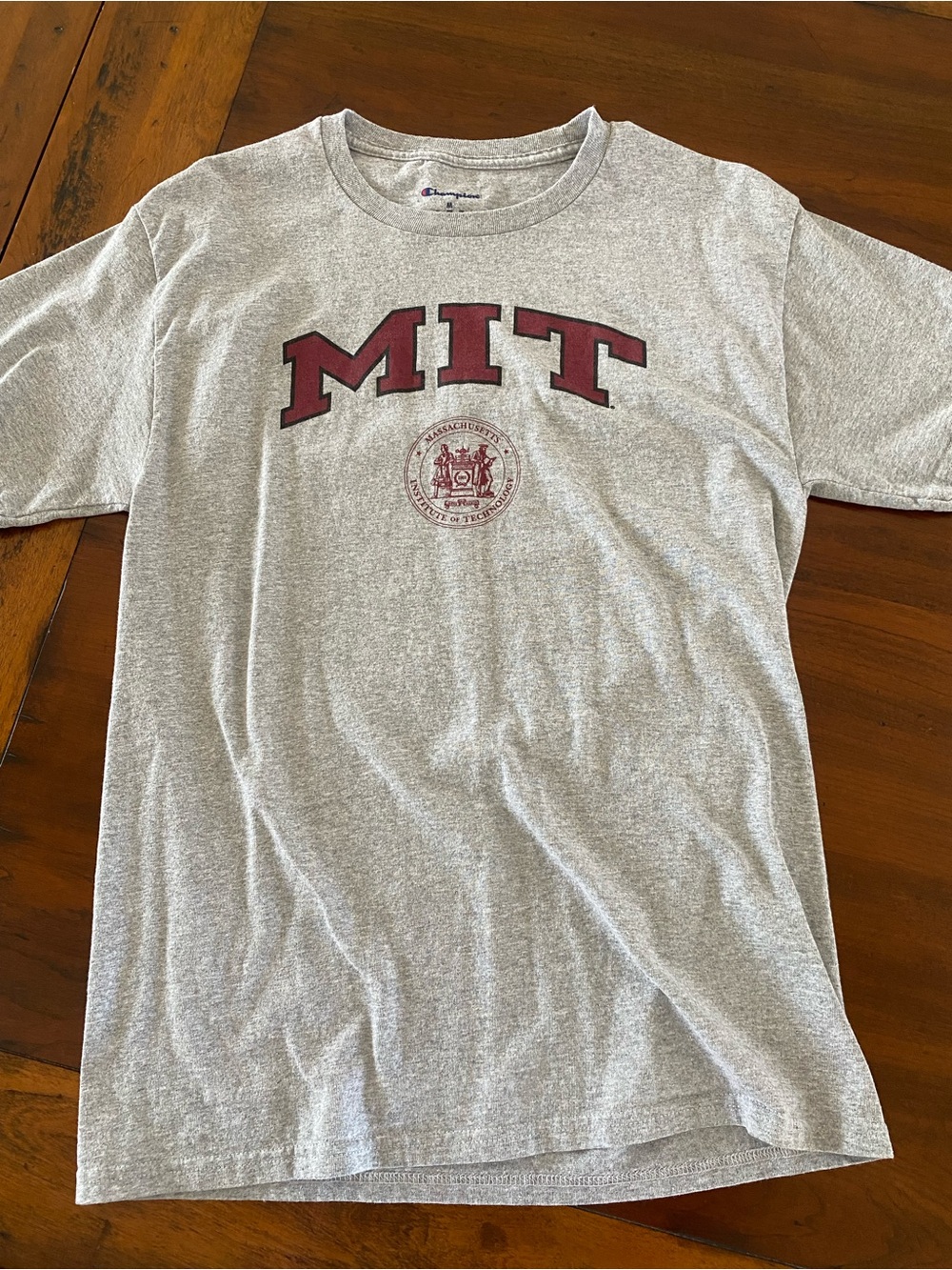 MIT gray T-Shirt Champion medium